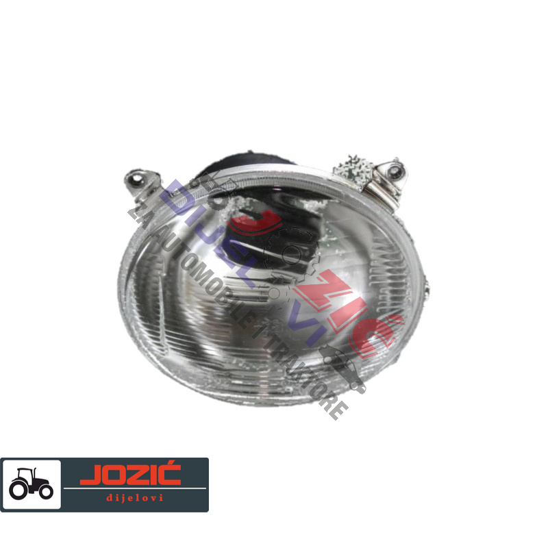 Daisy on the Ohoopee